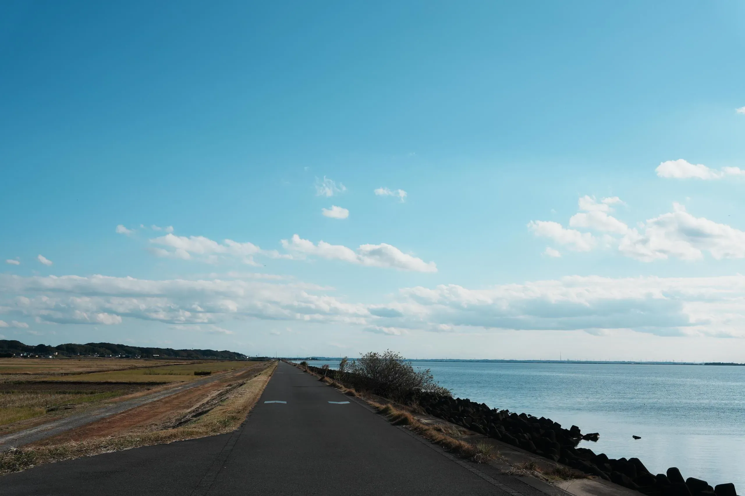 看不見盡頭的小徑