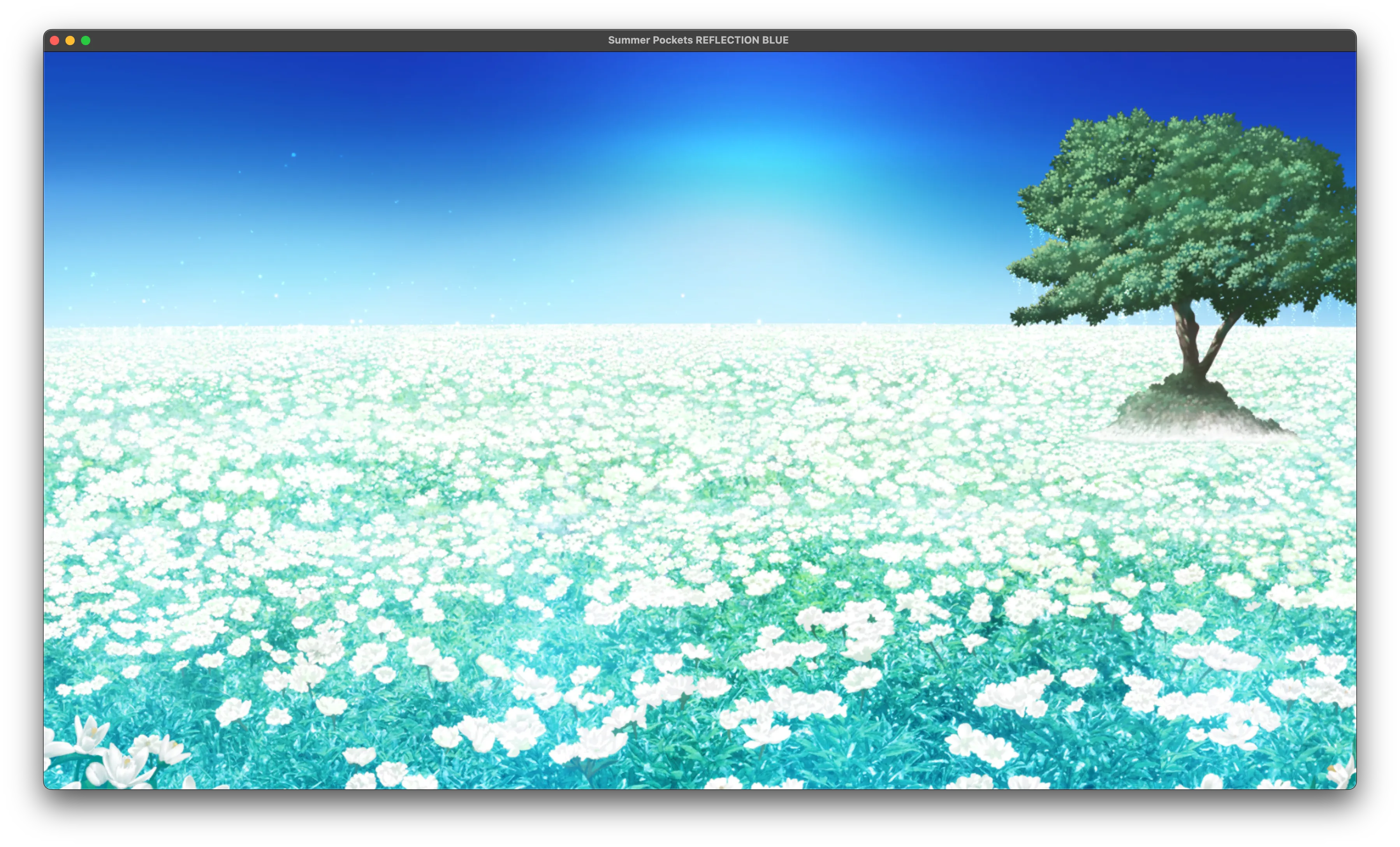 草原（花田）中間一棵樹